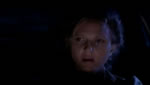 Trailer - Cold Storage