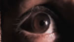 Teaser Trailer - Web Cam